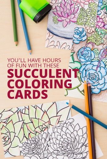 345x510 404 Succulents Diy And Craft