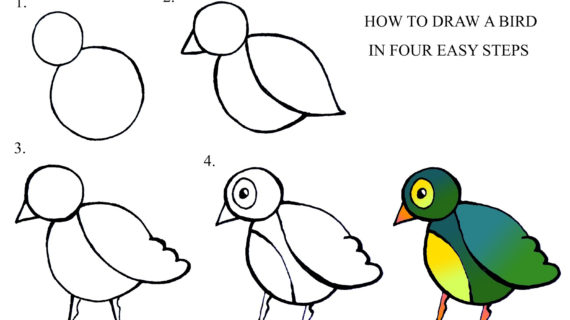 570x320 Step By Step Drawing For Kids Printable Simple Step Step Drawing