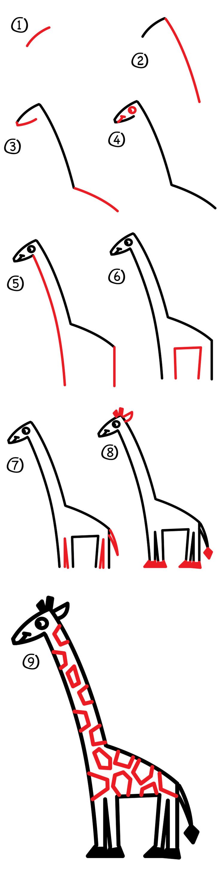 736x2902 How To Draw A Giraffe