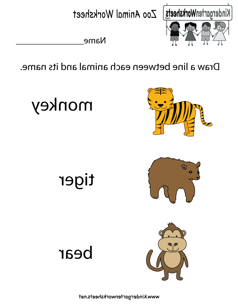 800x1035 Kindergarten How To Draw Animals Free Printable Zoo Animal