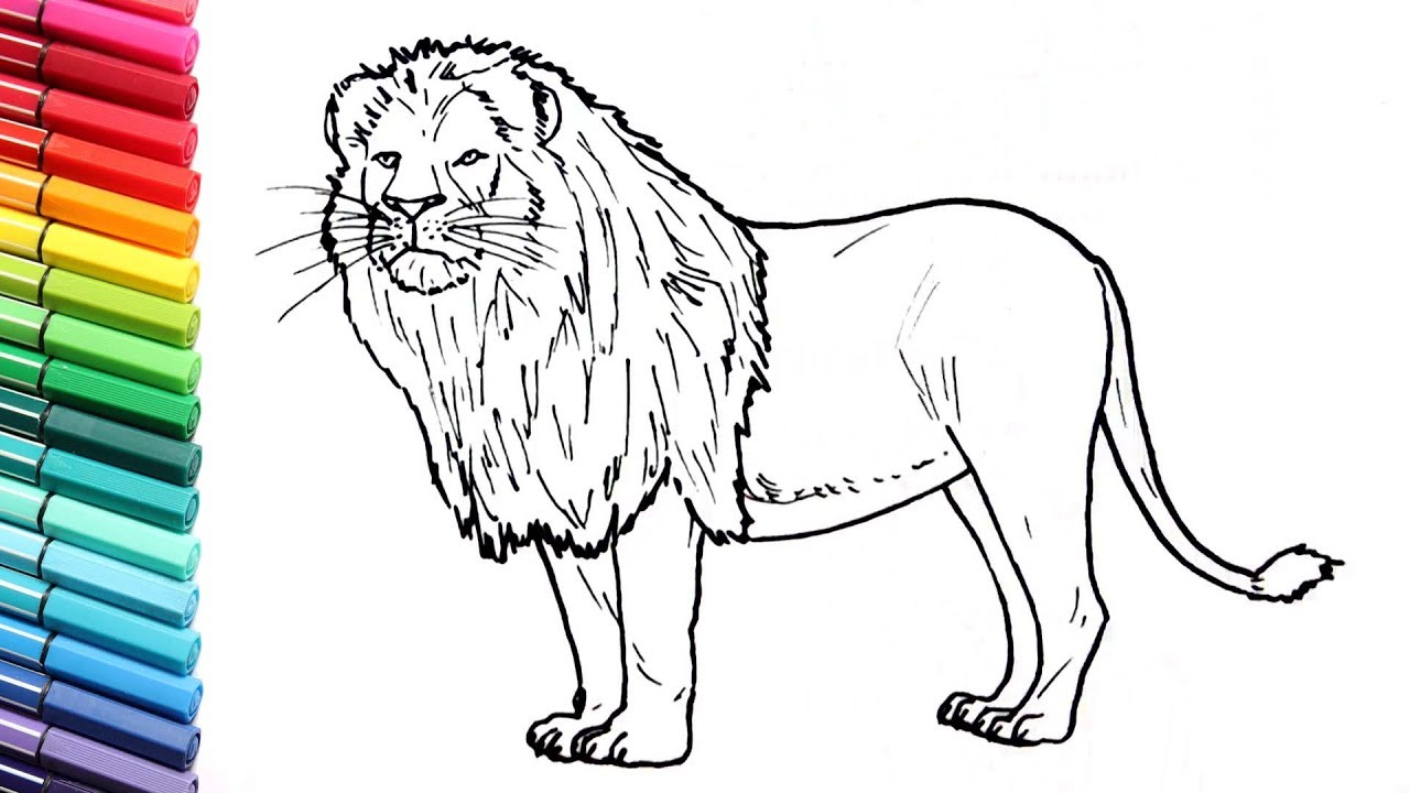 1280x720 Quick Drawings Of Animals To Color Snake Coloring Pages For Kids