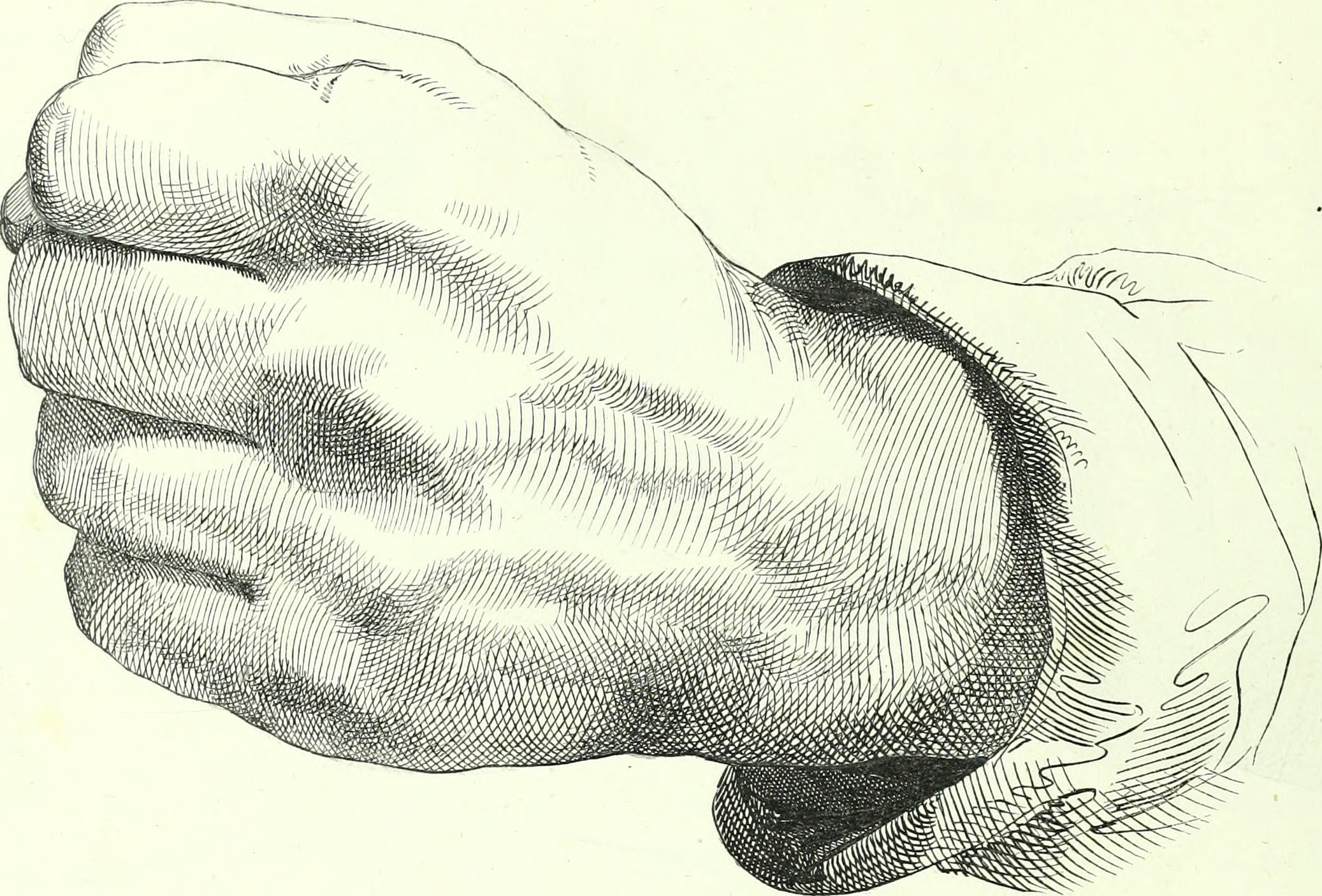 2074x1406 Filethe American Drawing Book