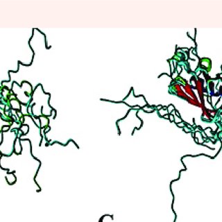 320x320 Schematic Drawing Of Path Sumoylation Protein.