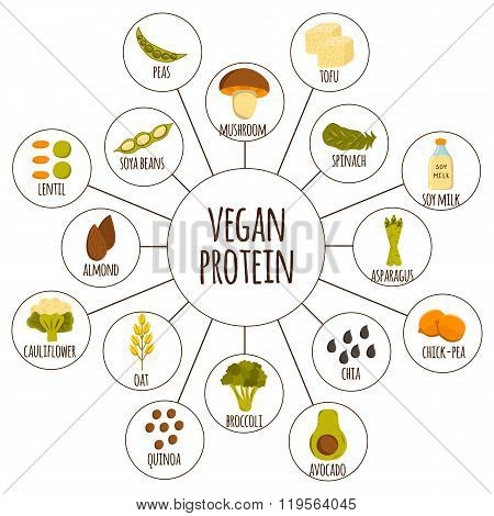 450x470 Vegan Protein Icons Vector Amp Photo Bigstock