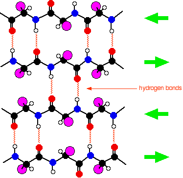 374x364 Protein Structure