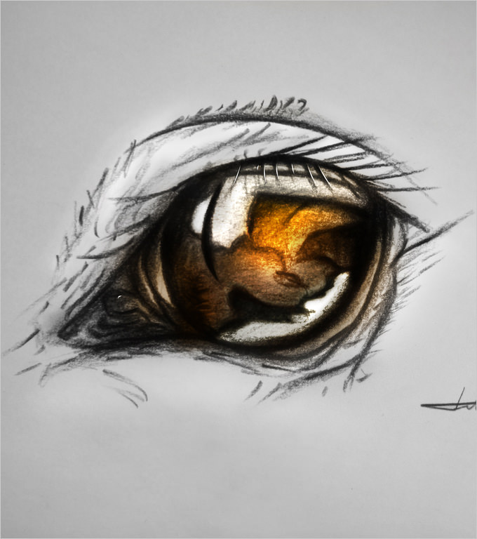 680x768 Eye Drawings