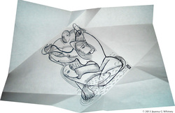 250x162 Psychic Drawings With Readings