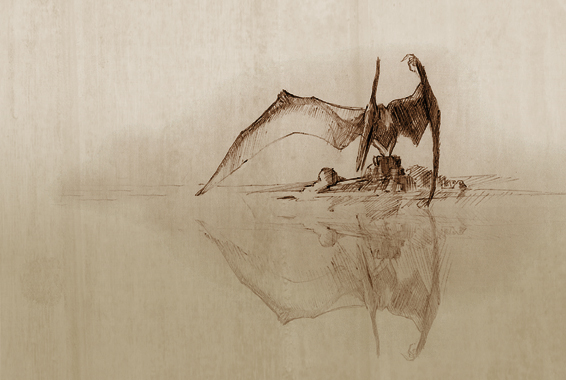 566x380 Pteranodon By Melihturer