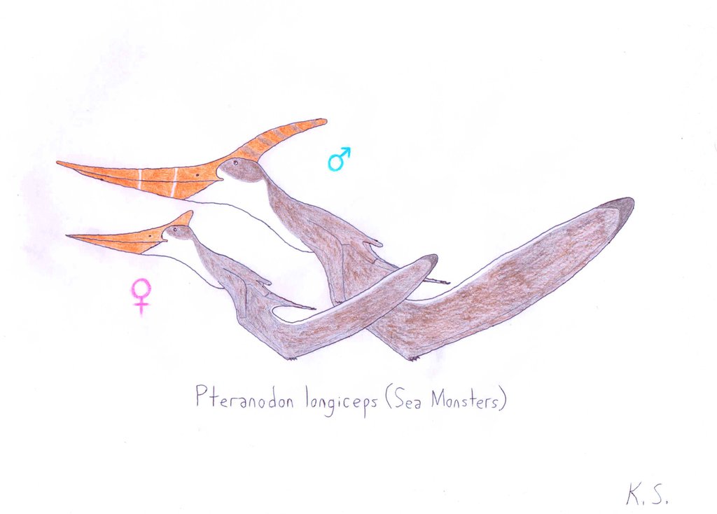 1024x734 Pteranodon Longiceps By Angrydinobirds