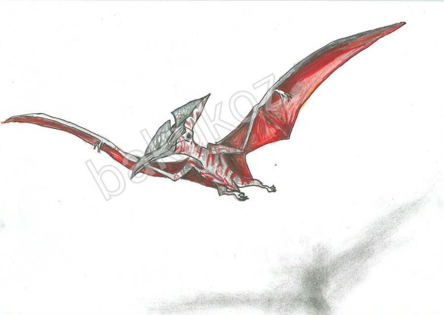 900x639 Ark Pteranodon Albinos By Bakukoz