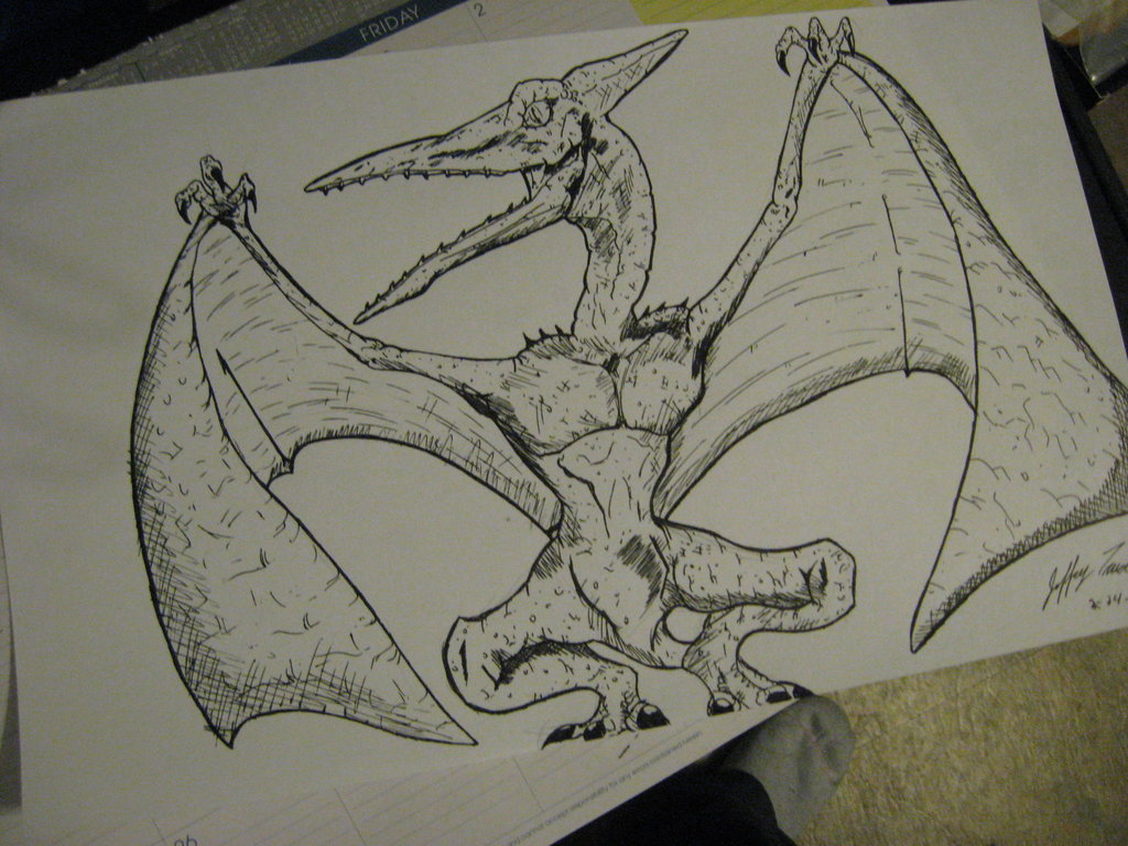 1024x768 Pterodactyl Gel Pen Drawing By Jeffreytrudeau