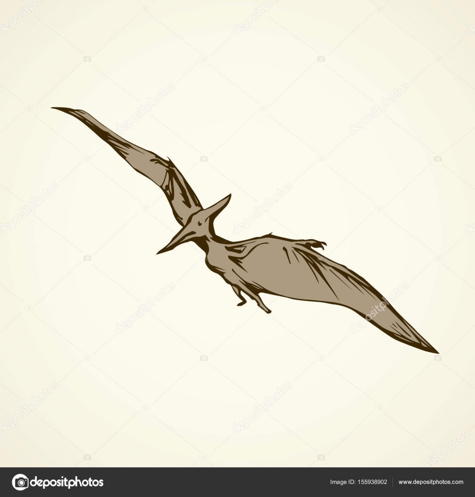 978x1024 Pterodactyl. Vector Drawing Stock Vector Marinka