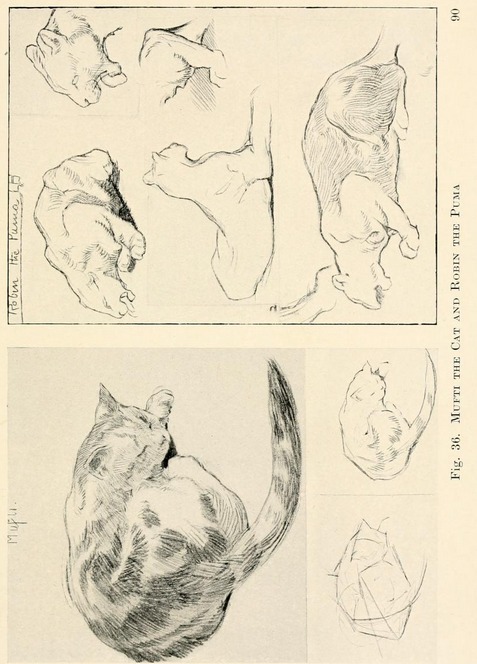 477x664 From The Public Domain Book, Drawing For Beginners, Download