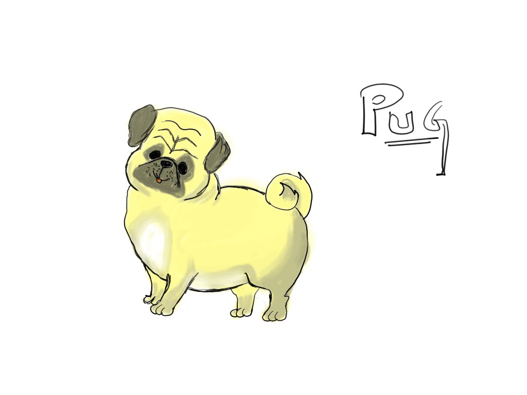 1024x768 How To Draw A Pug Dog Learn Drawing For Kids