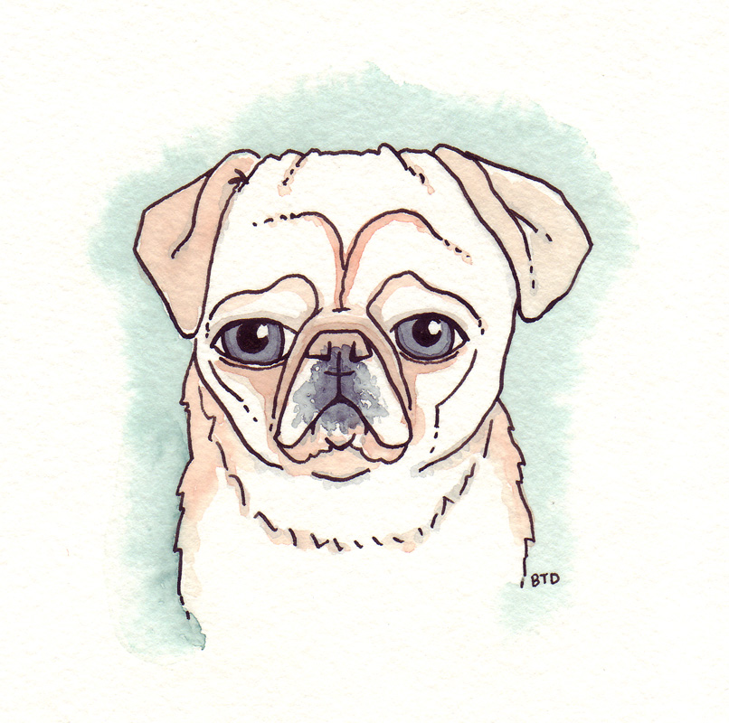 806x800 Pug Slope Drawings