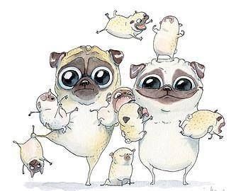 340x270 Pin By Melissa Duke On Pug Nuggets Pug Puppies, Pug