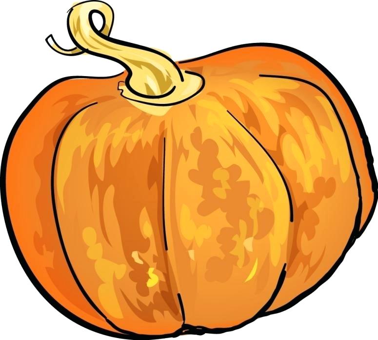 775x697 Pumpkin Drawing Vector Hand Drawn Pumpkins And Leaves Autumn