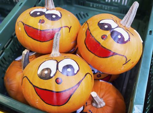 500x369 Halloween Painted Pumpkin