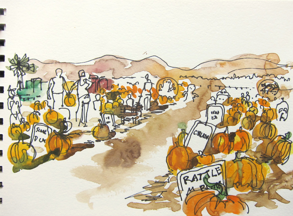 1000x736 Pumpkin Patch