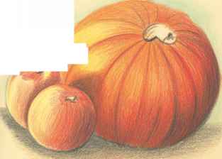 313x224 Finish The Drawing