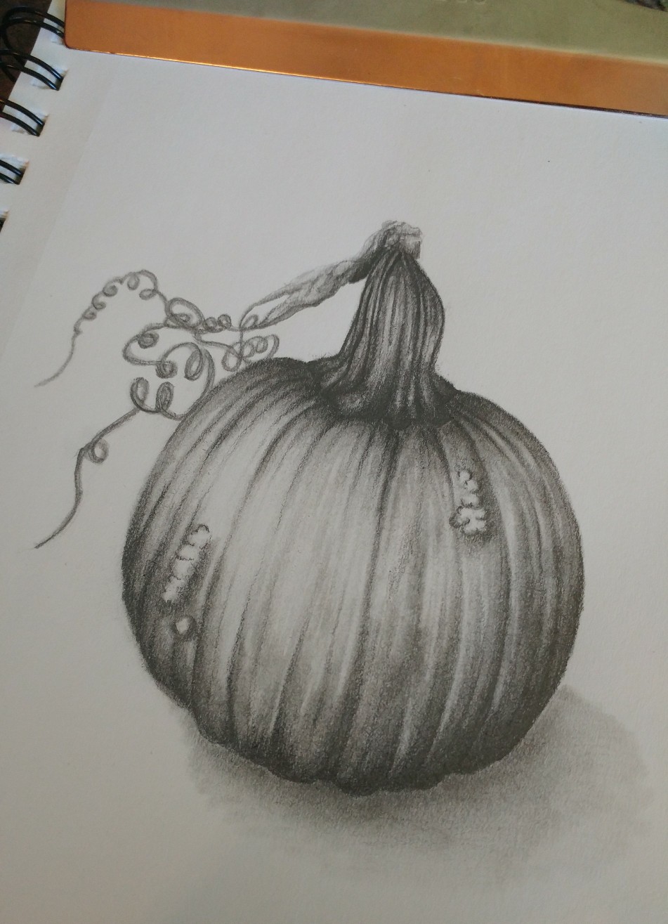 951x1315 Pumpkin Pencil Drawing Autumn Drawings