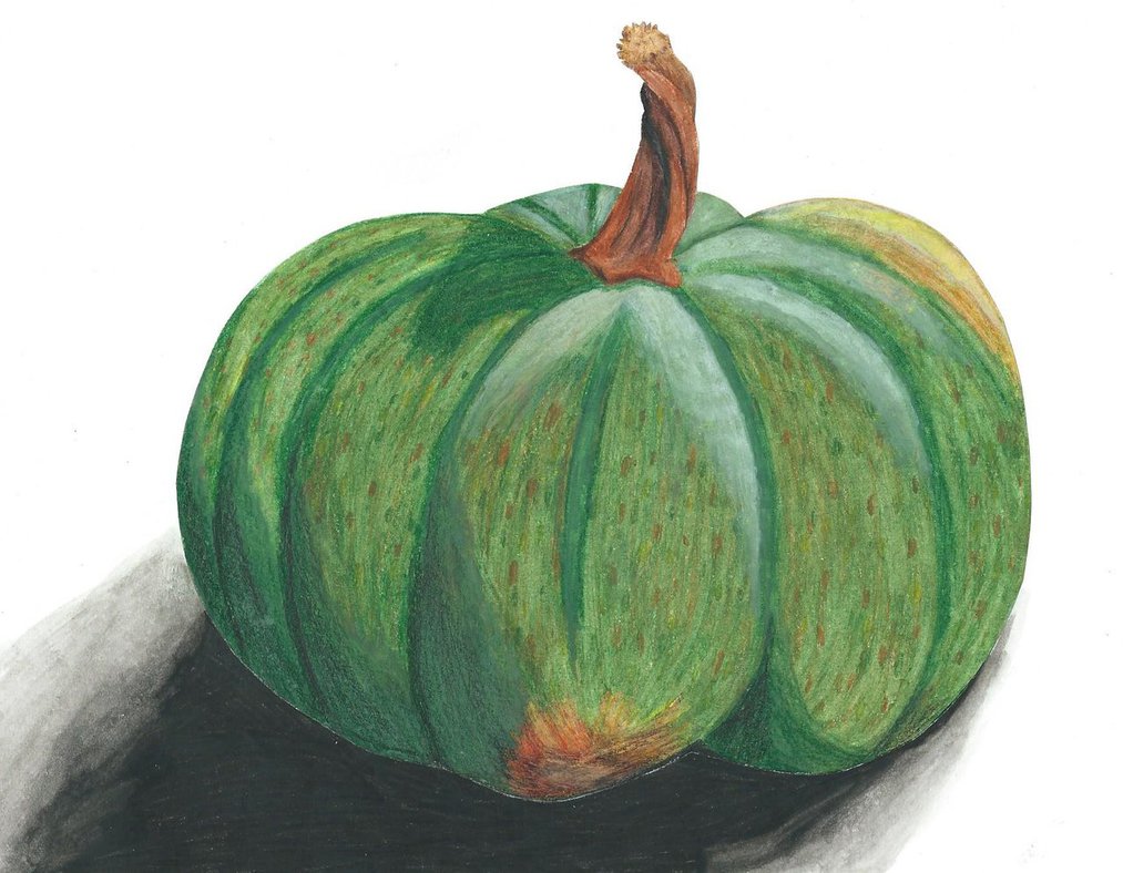 1013x788 Pumpkin With Colored Pencil Drawing By Jennifernachtigal87