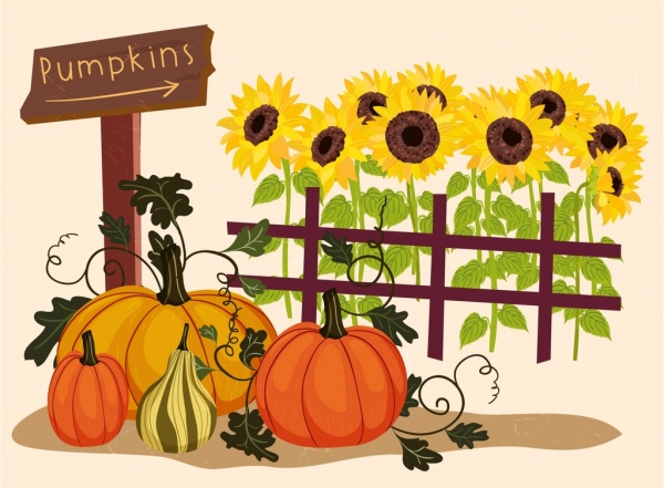 600x441 Farming Drawing Sunflowers Pumpkin Icons Multicolored Design Free