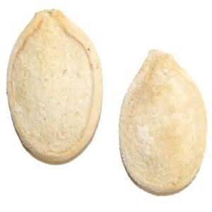 300x300 13 Best Giant Pumpkin Images On Giant Pumpkin, Bing