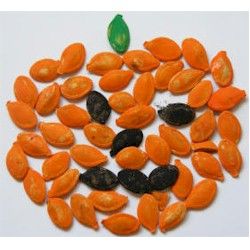 250x250 Pumpkin Seed Mosaic Craft. Had A Very Hard Time Getting The Seeds