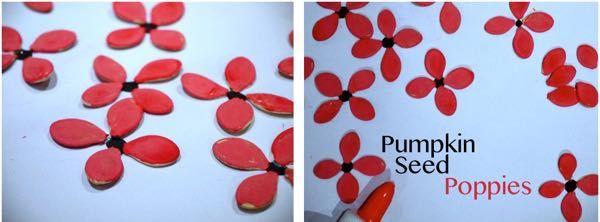 600x222 Pumpkin Seed Poppies And 50 Other Poppy Craft Ideas. Poppy