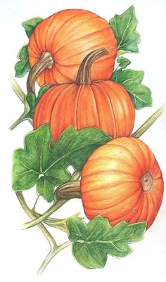 236x401 Thanksgiving Clip Art Clip Art For Thanksgiving Oct Nov