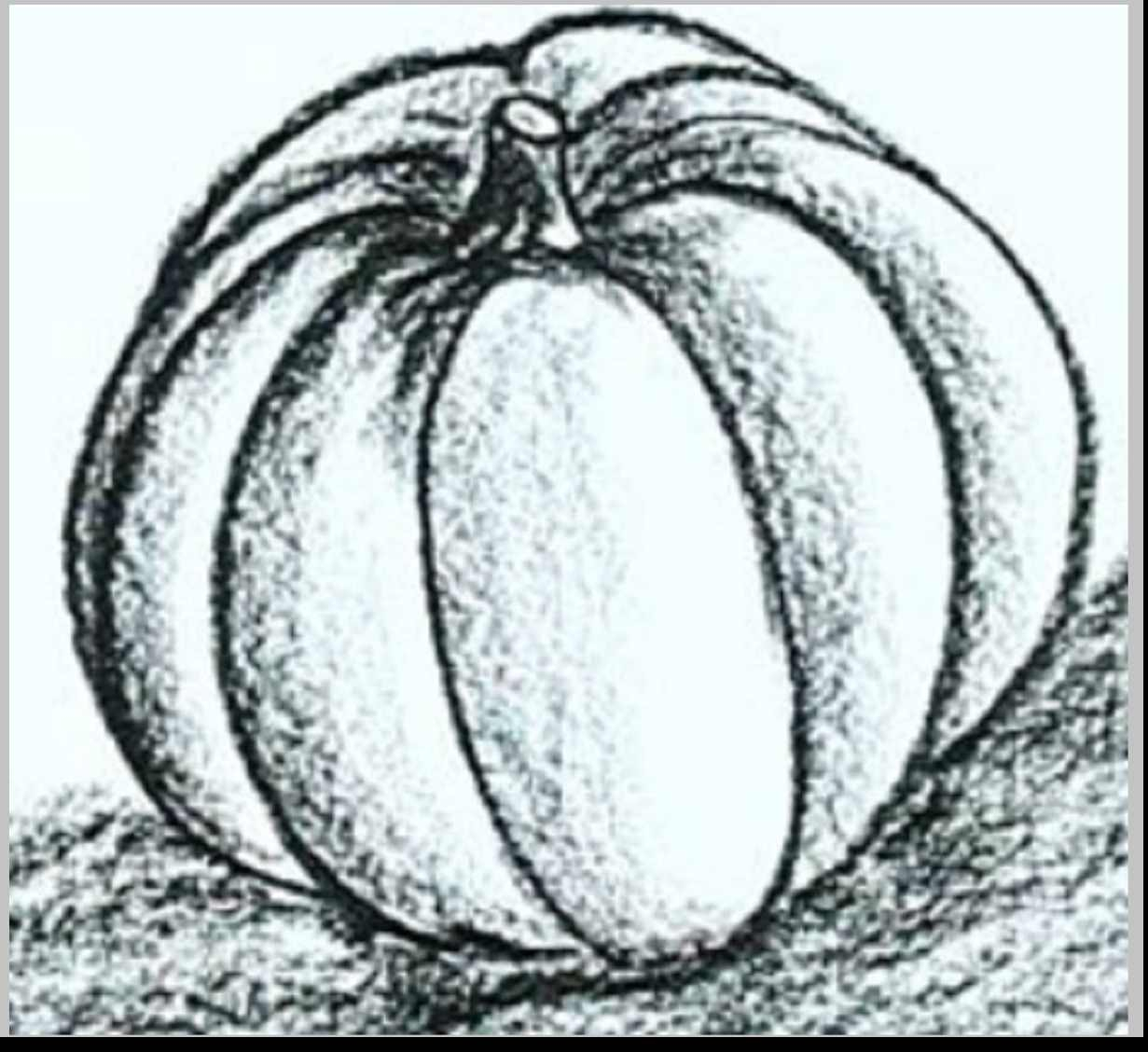 1231x1128 Pencil Drawings Of Pumpkins Easy Pencil Drawing Ideas Pumpkin