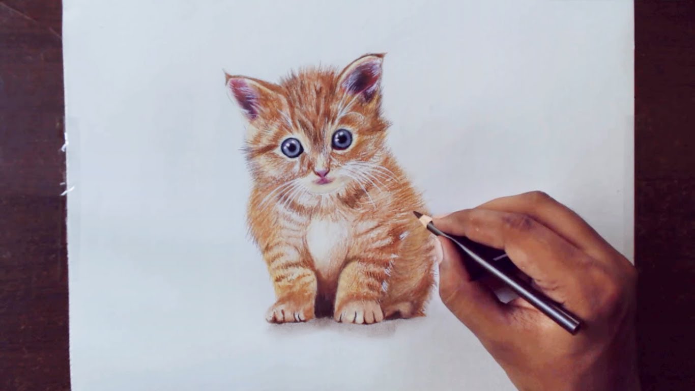 1366x768 Drawing Animals 1