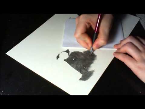 480x360 Drawing] Puppy And Kitten