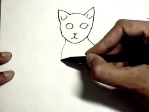 480x360 How To Draw A Cat In Easy Steps For Children, Kids, Beginners