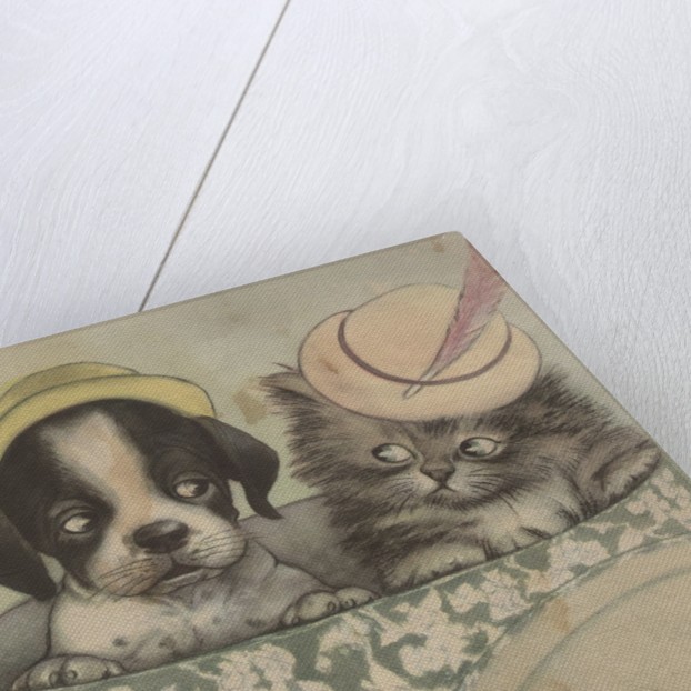 622x622 Puppy And Kitten In Hat Box Wearing Hat Posters Amp Prints By Corbis