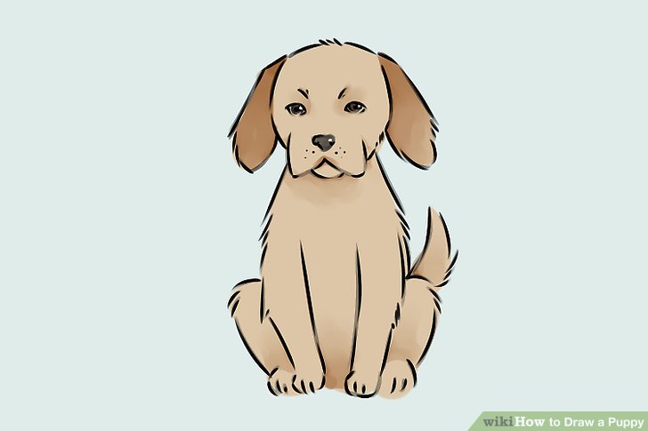 728x485 4 Ways To Draw A Puppy