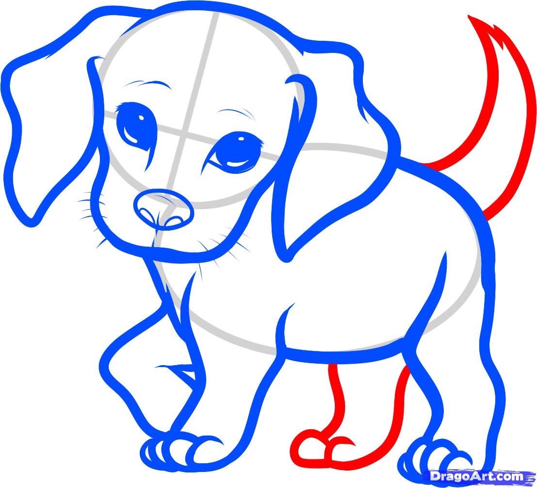 1107x1005 How To Draw A Beagle Puppy, Beagle Puppy Step 6 Drawing