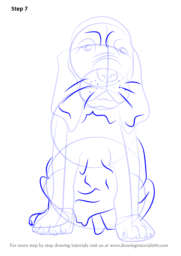 596x842 Learn How To Draw A Bloodhound Puppy (Dogs) Step By Step Drawing