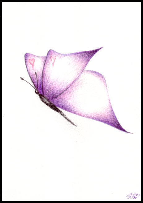 462x653 It's Been So Long More Bout My Book Drawing Butterflies