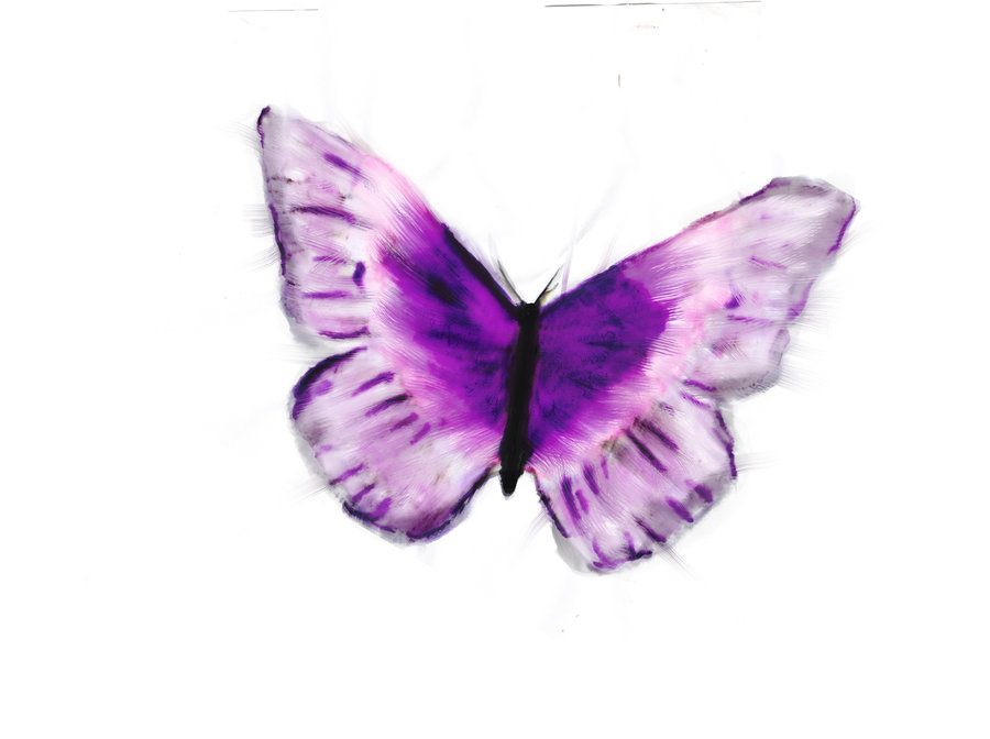 Purple Butterfly Drawing at GetDrawings | Free download