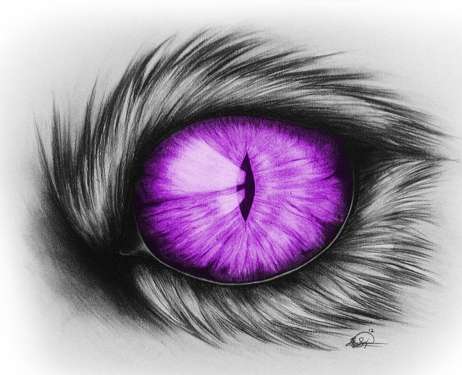900x730 Cool Domestic Cats House Cat Eye Drawing Drawing By Brittany