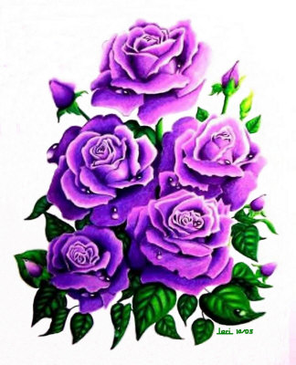 324x400 Rose With Raindrop Drawings