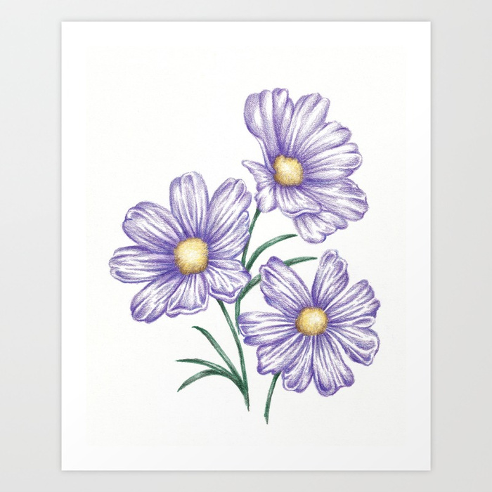 700x700 Purple Flower Garden Art Drawing Print Daisy Art Print By