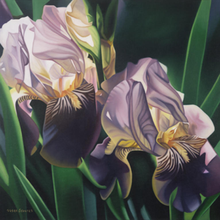 766x768 Purple Iris By Susan Landino Edwards Drawing