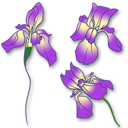 260x260 Purple Iris Tattoo Design
