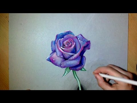 480x360 How I Draw A Realistic Purple Rose