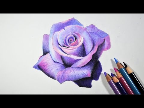 480x360 How To Draw A Lavender Rose