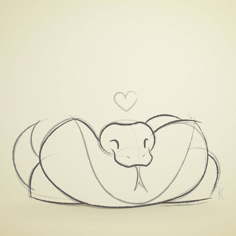 792x792 Python Sketch By Karianne Hutchinson Illustration Vector