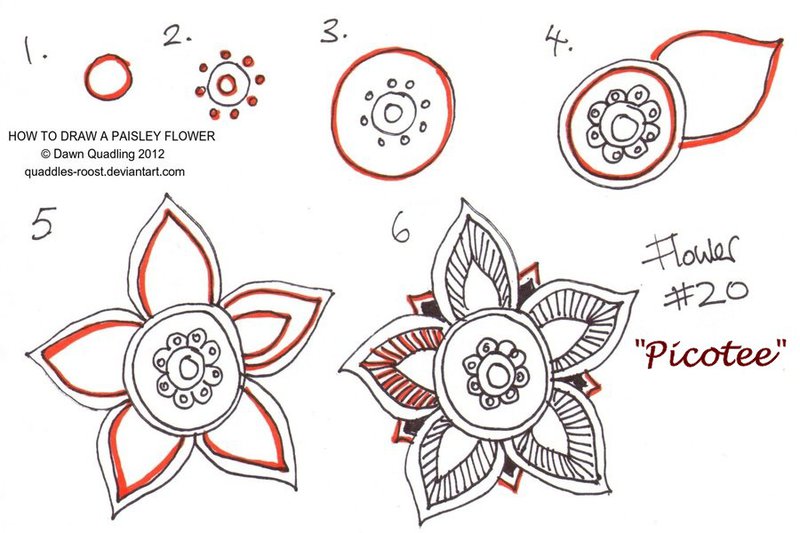 800x533 How To Draw Paisley Flower 20 Picotee By Quaddles Roost
